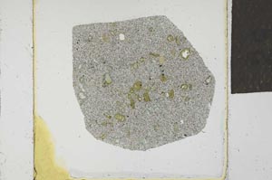 Plane Polarized, S23127