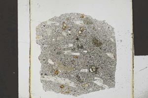 Plane Polarized, S23128