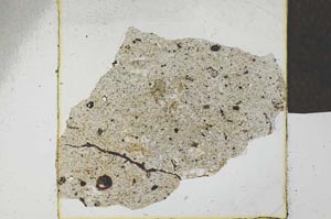 Plane Polarized, S23129
