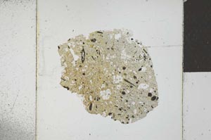Plane Polarized, S23140