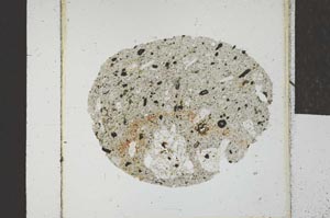 Plane Polarized, S23141