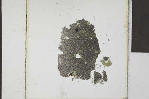 Plane Polarized, S23143