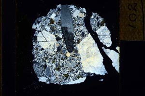 Cross Polarized, S23146