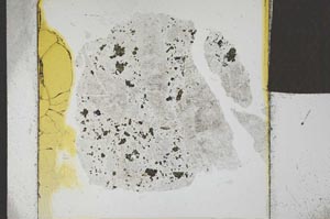 Plane Polarized, S23146