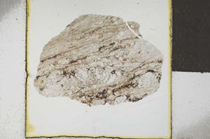 Plane Polarized, S23147