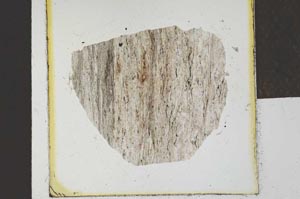 Plane Polarized, S23148