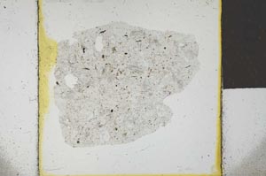 Plane Polarized, S23149