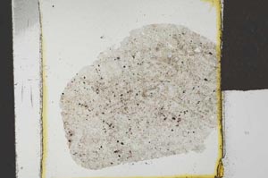 Plane Polarized, S23151