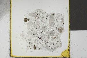 Plane Polarized, S23152