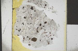 Plane Polarized, S23153