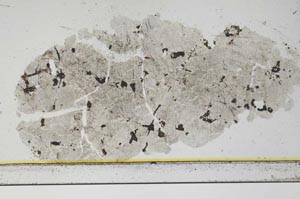 Plane Polarized, S23154