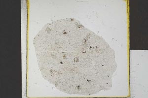 Plane Polarized, S23156
