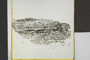 Plane Polarized, S23161