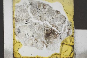 Plane Polarized, S23162