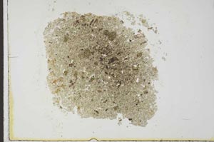 Plane Polarized, S23168