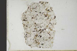 Plane Polarized, S23173