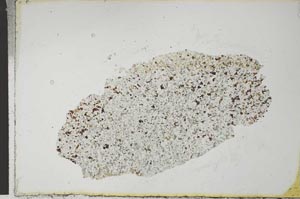 Plane Polarized, S23177