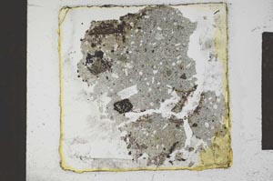 Plane Polarized, S23213