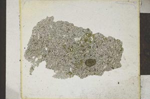 Plane Polarized, S23217