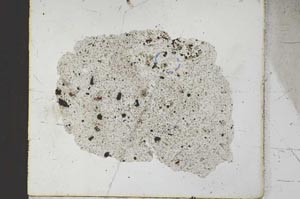 Plane Polarized, S23234
