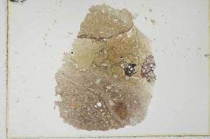 Plane Polarized, S23266