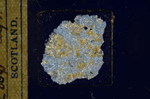 Cross Polarized, S23269