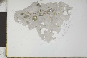Plane Polarized, S23271