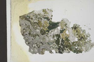 Plane Polarized, S23272