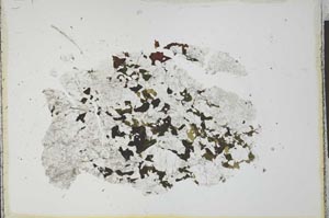 Plane Polarized, S23277