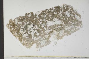 Plane Polarized, S23309