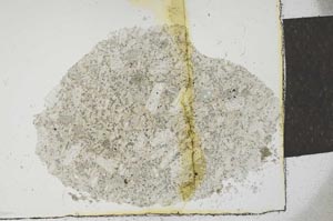 Plane Polarized, S23311