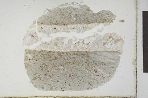 Plane Polarized, S23328