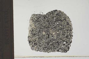 Plane Polarized, S23344