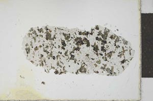 Plane Polarized, S23358