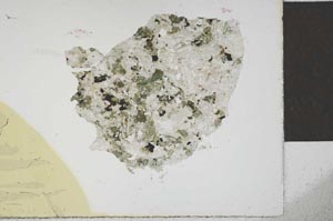 Plane Polarized, S23371