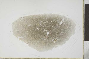 Plane Polarized, S23378
