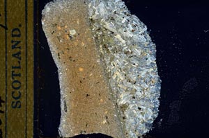 Cross Polarized, S23379