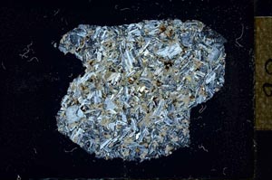 Cross Polarized, S23380