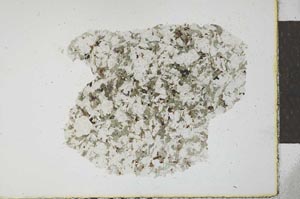 Plane Polarized, S23380