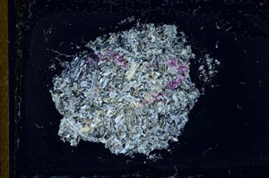 Cross Polarized, S23381