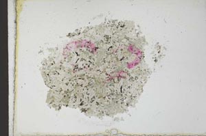 Plane Polarized, S23381