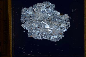 Cross Polarized, S23386