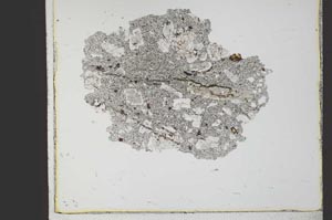 Plane Polarized, S23386