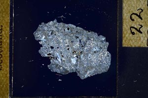 Cross Polarized, S23387