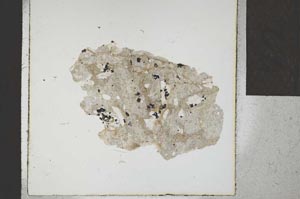 Plane Polarized, S23387