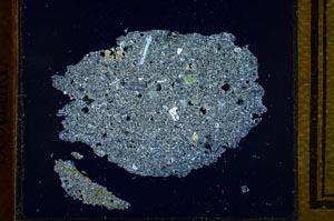 Cross Polarized, S23388