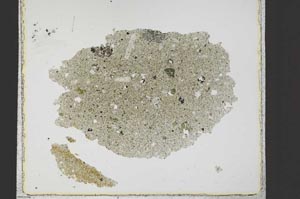 Plane Polarized, S23388