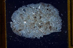 Cross Polarized, S23389