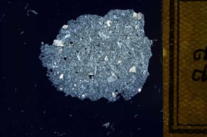 Cross Polarized, S23390