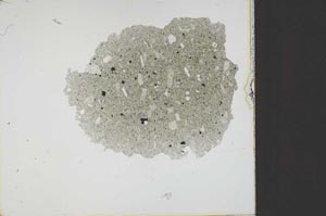 Plane Polarized, S23390